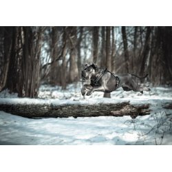 Pro Harness  Dog harness with Reflective Stripe