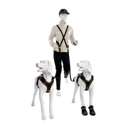 Bundle Harness &amp; Running Leash