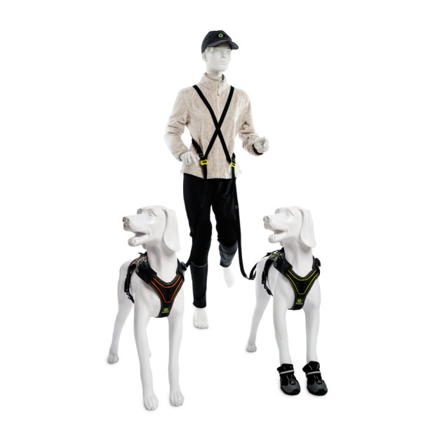 Bundle Harness &amp; Running Leash