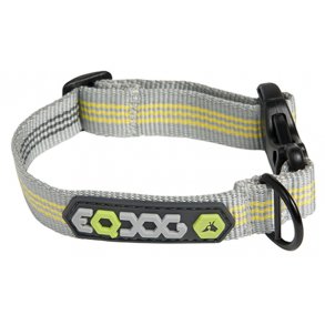 Classic Collar Dog collar with yellow stripes