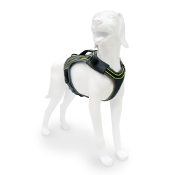 Pro Harness Dog Harness with Green Stripes
