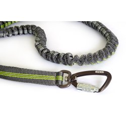 Jogging Leash Elastic adjustable leash