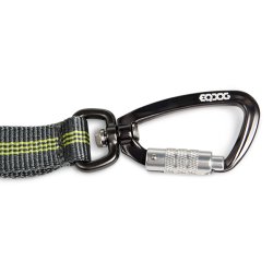 Jogging Leash Elastic adjustable leash