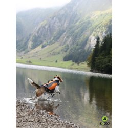 Classic LifeVest for dogs