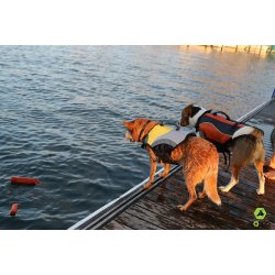 Classic LifeVest for dogs