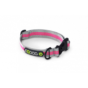 Classic Collar Dog collar withPink Stripes