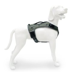 Pro Harness� Dog Harness 