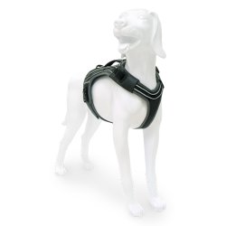 Pro Harness� Dog Harness 