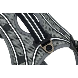 Bundle Harness &amp; Running Leash