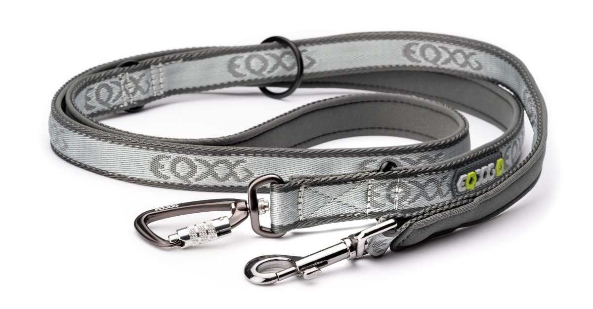 Grey best sale dog leash