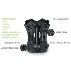 Pro Harness Dog Harness with Green Stripes