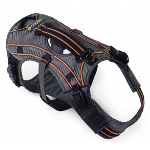 Pro Harness Dog Harness with Orange stripes