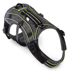 Pro Harness Dog Harness with Green Stripes