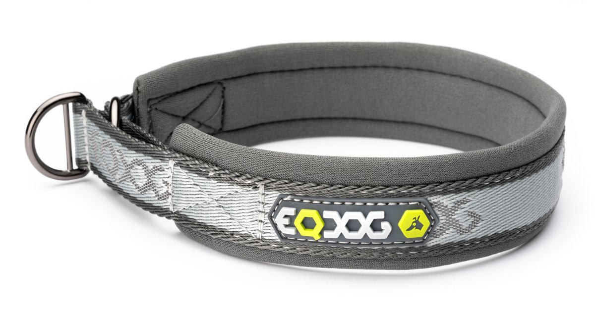 Collars - EQDOG